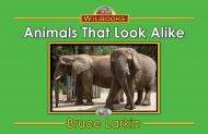 Animals That Look Alike