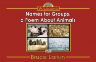 Names for Groups, a Poem About Animals