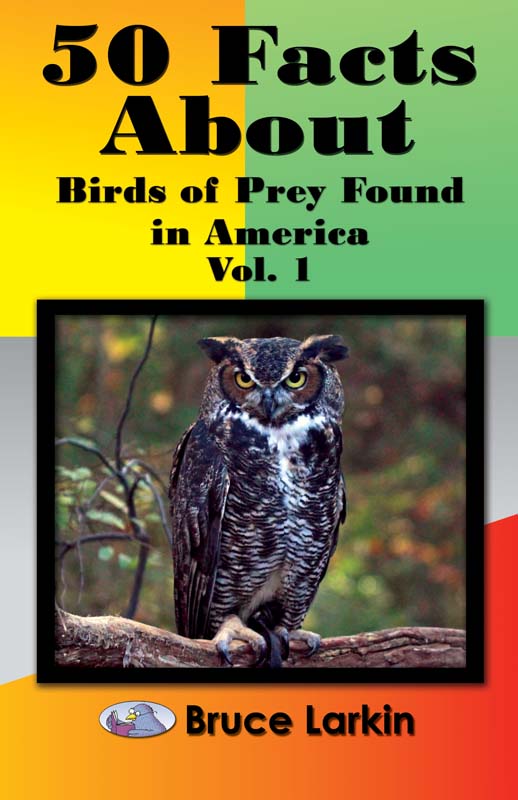 Did You Know? Ten Amazing Facts About Birds of Prey and Vultures - Buffalo  Bill Center of the West