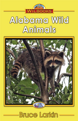 Alabama Wild Animals (Kindergarten Book) - Wilbooks