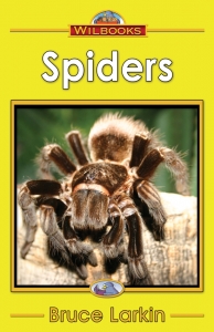 Spiders -(Digital Download)