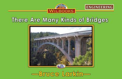 There Are Many Kinds of Bridges