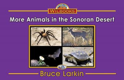 More Animals in the Sonoran Desert
