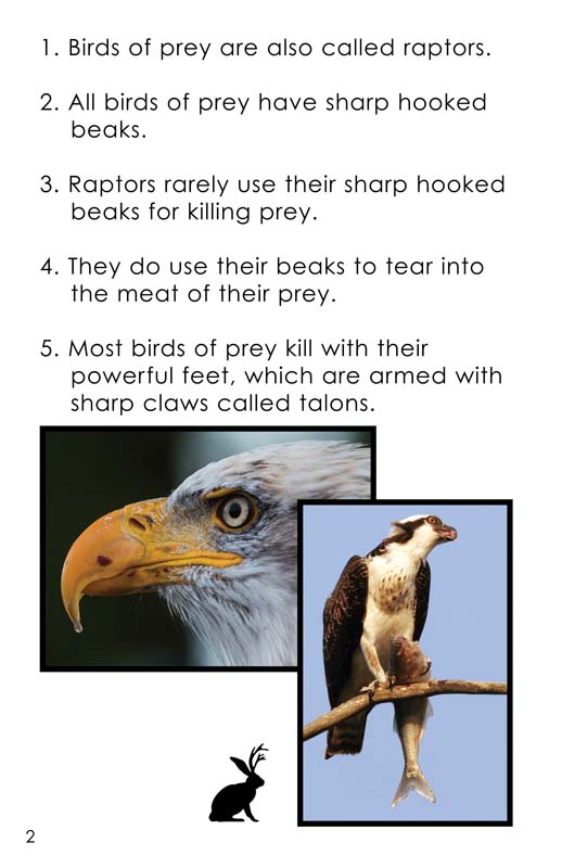 All about Birds of Prey