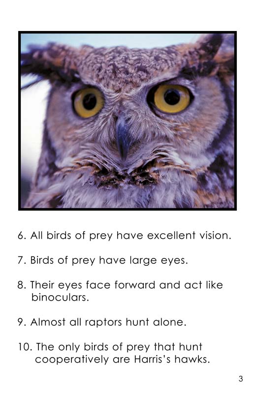 Did You Know? Ten Amazing Facts About Birds of Prey and Vultures - Buffalo  Bill Center of the West