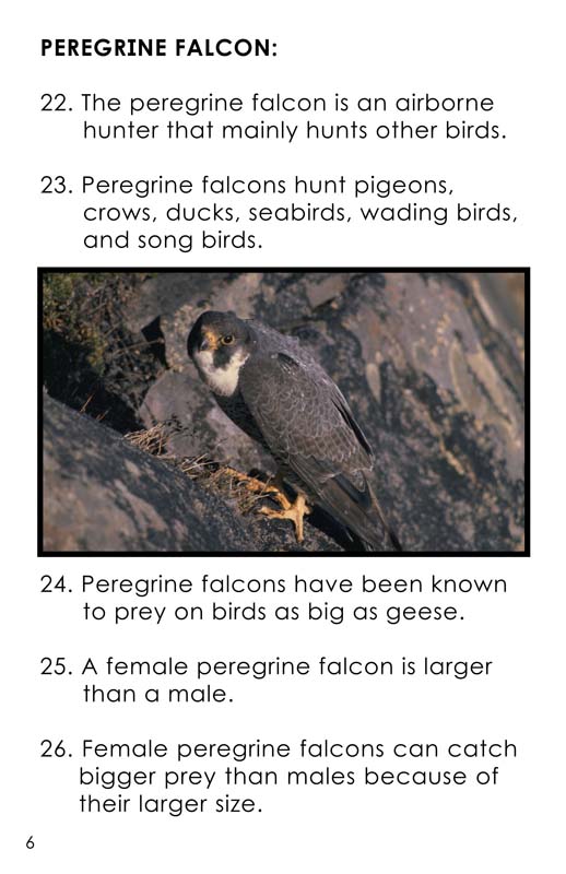 facts and statistics about birds of prey