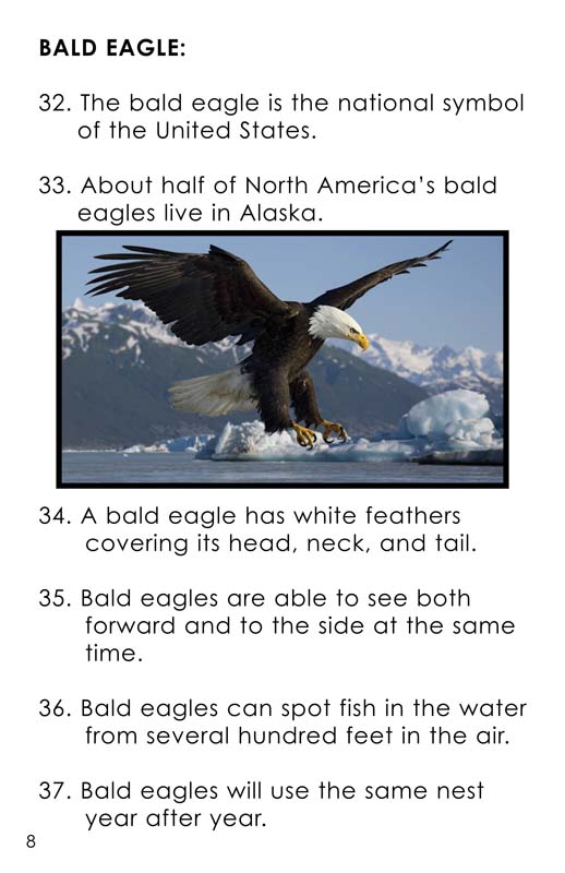 Seven Facts about birds of prey-Buffalo Bill Center of the West