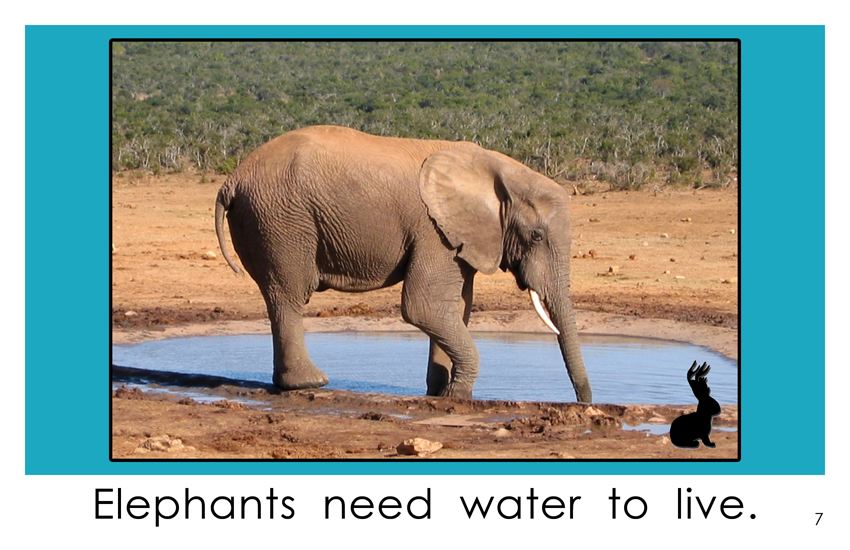 All Animals Need Water Kindergarten Book Wilbooks