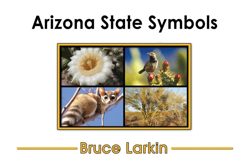 arizona-state-symbols-first-grade-book-wilbooks