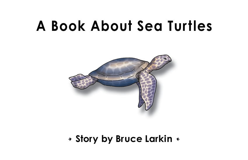 Sea Turtles [Book]