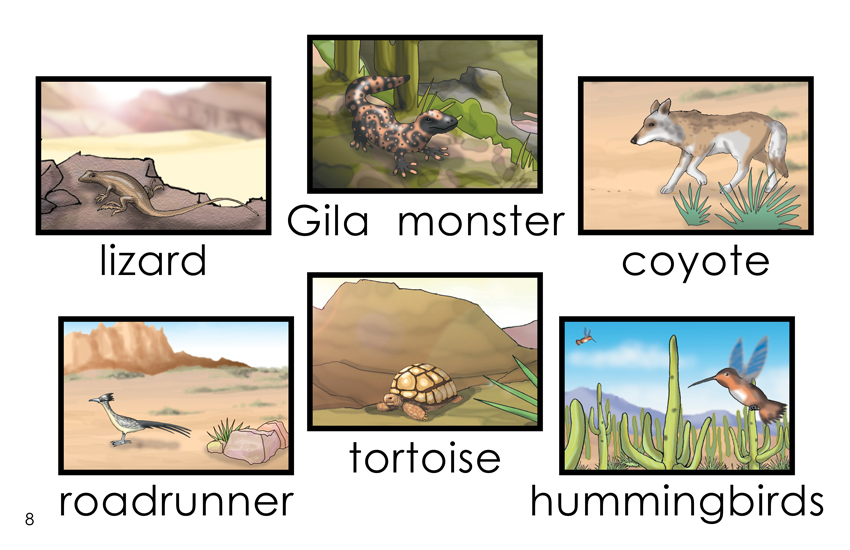 Desert Critters Coloring Book - WNPA