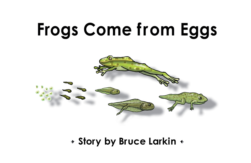 Frogs Come from Eggs (First Grade Book) - Wilbooks