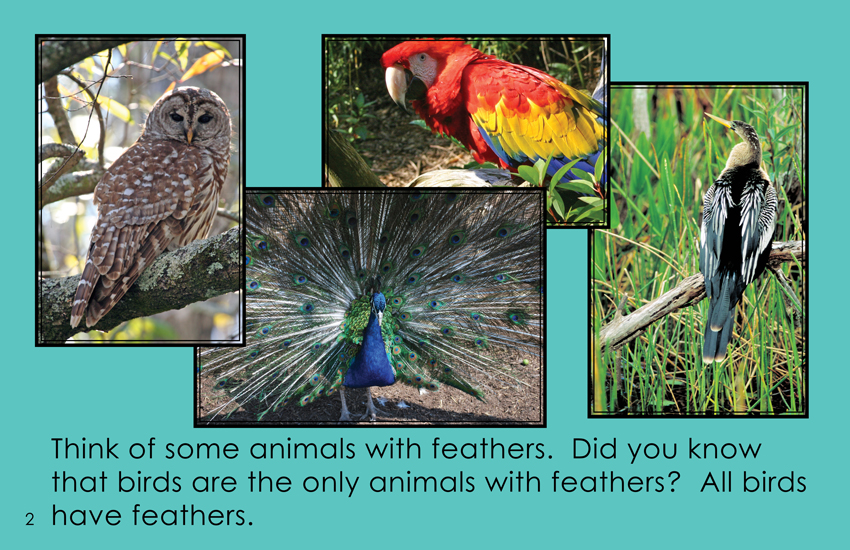 Birds are the only animals with feathers. – Nature Blog Network