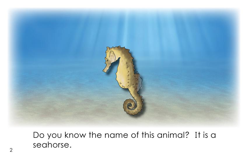 images of water animals with their names