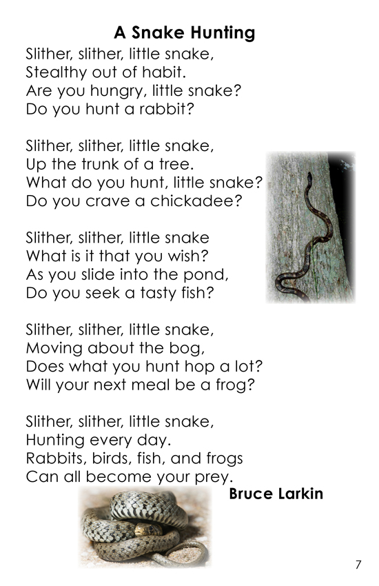 Poems About Predators: Wilbooks.com