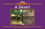 A Desert -(Digital Download)
