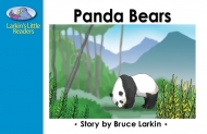 Panda Bears -(Digital Download)